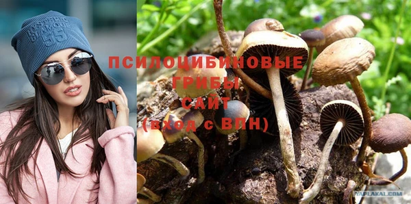 дмт Белокуриха