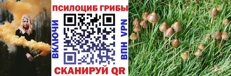 Галлюциногенные грибы ЛСД Купить где Арамиль